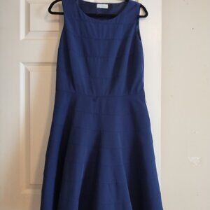 Calvin Klein Navy Dress